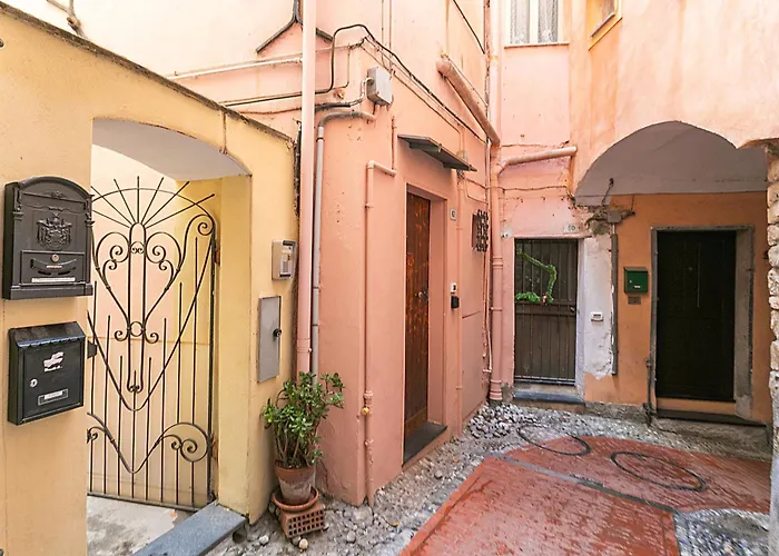 Saro House - Happy *